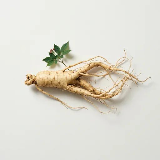Panax Ginseng